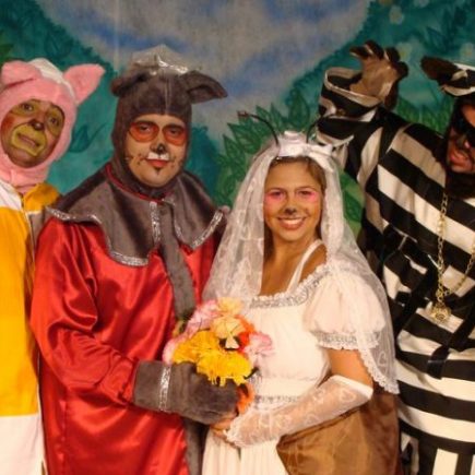 Teatro: O Casamento de Dona Baratinha