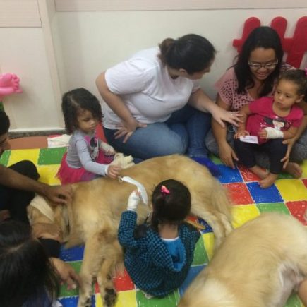 Cãoterapia melhora humor e adesão aos tratamentos em hospital pediátrico no Rio